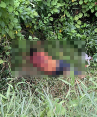 Foto: Reprodu&ccedil;&atilde;o