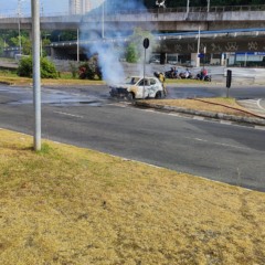 Leitor / PS Notícias