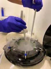 Foto: Divulga&ccedil;&atilde;o/Acervo Huntington Cenafert