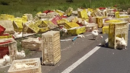 Foto: Reprodução/ Blog do Valente