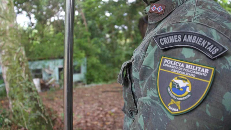 Foto: Divulgação/SSP Foto: Divulgação/SSP