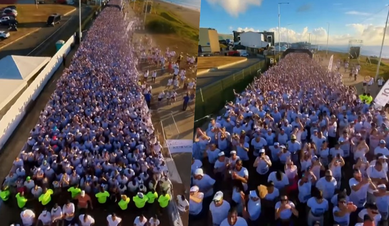 Reprodução Reprodução