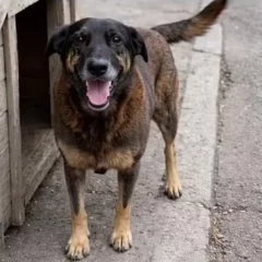 Foto: Reprodu&ccedil;&atilde;o / Redes sociais