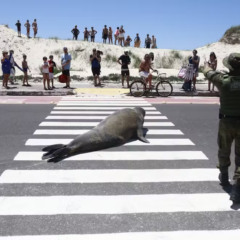 Foto: Andr&eacute; &Aacute;vila