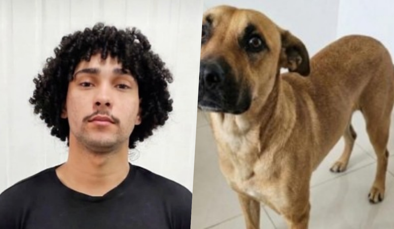 influenciador influenciador