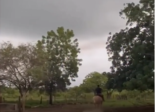 Foto: Reprodução / Redes Sociais Foto: Reprodução / Redes Sociais