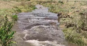 Foto: Reprodução / Jô Bandeirante Foto: Reprodução / Jô Bandeirante