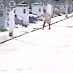 Foto: Reprodução / Redes sociais