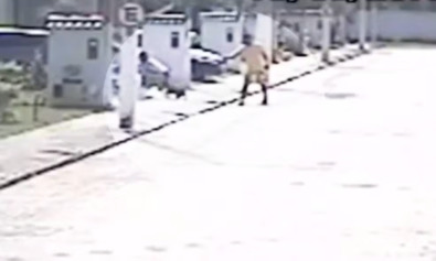 Foto: Reprodução / Redes sociais Foto: Reprodução / Redes sociais