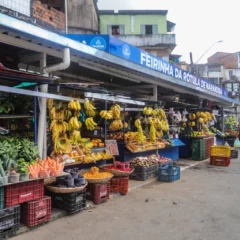 Foto: Bruno Concha/Secom PMS