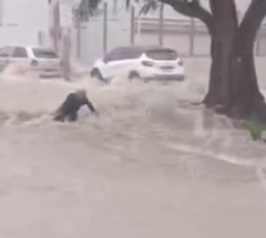 Foto: Reprodu&ccedil;&atilde;o / Redes Sociais