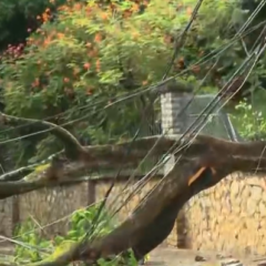 Foto: Reprodução / Rede Bahia