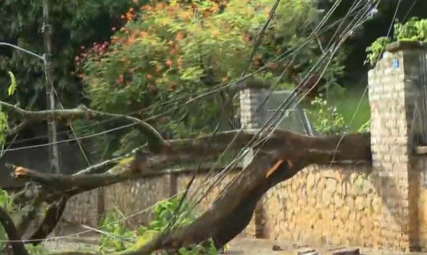 Foto: Reprodução / Rede Bahia