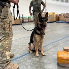 Foto: Ilustrativa / Ascom PCBA