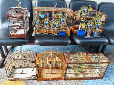 Foto: Divulgação/Polícia Militar