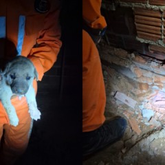 Foto: Reprodução/CBMBA