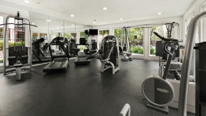 Foto: Reprodução/Canva Foto: Reprodução/Canva