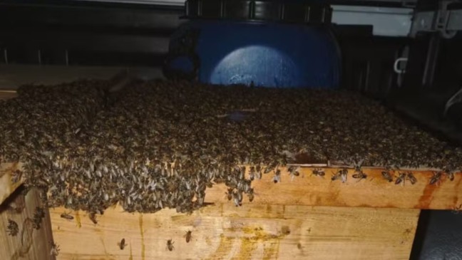 Foto: Reprodução/Prefeitura de Capim Grosso