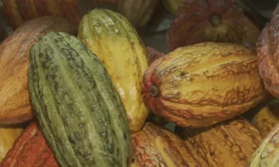 Foto: Rprodução/ TV Brasil
Foto: Rprodução/ TV Brasil