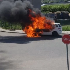 Foto: Reprodu&ccedil;&atilde;o / Redes Sociais