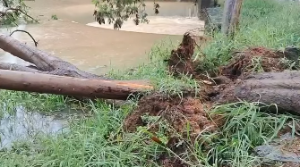 Foto: Reprodução / Rede Bahia Foto: Reprodução / Rede Bahia