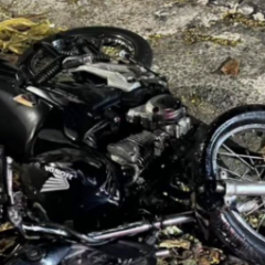 Foto: Guarda Civil Municipal