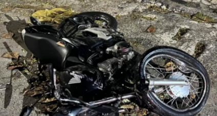 Foto: Guarda Civil Municipal Foto: Guarda Civil Municipal