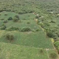 Foto: Reprodução / PM-BA