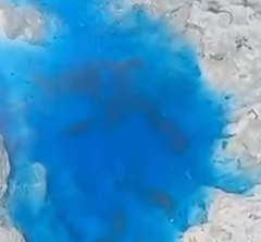 Foto: Reprodução / Redes Sociais