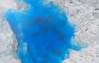 Foto: Reprodução / Redes Sociais Foto: Reprodução / Redes Sociais