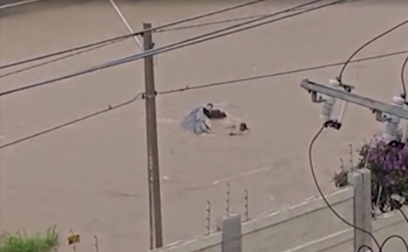 Foto: Reprodução/ Redes sociais