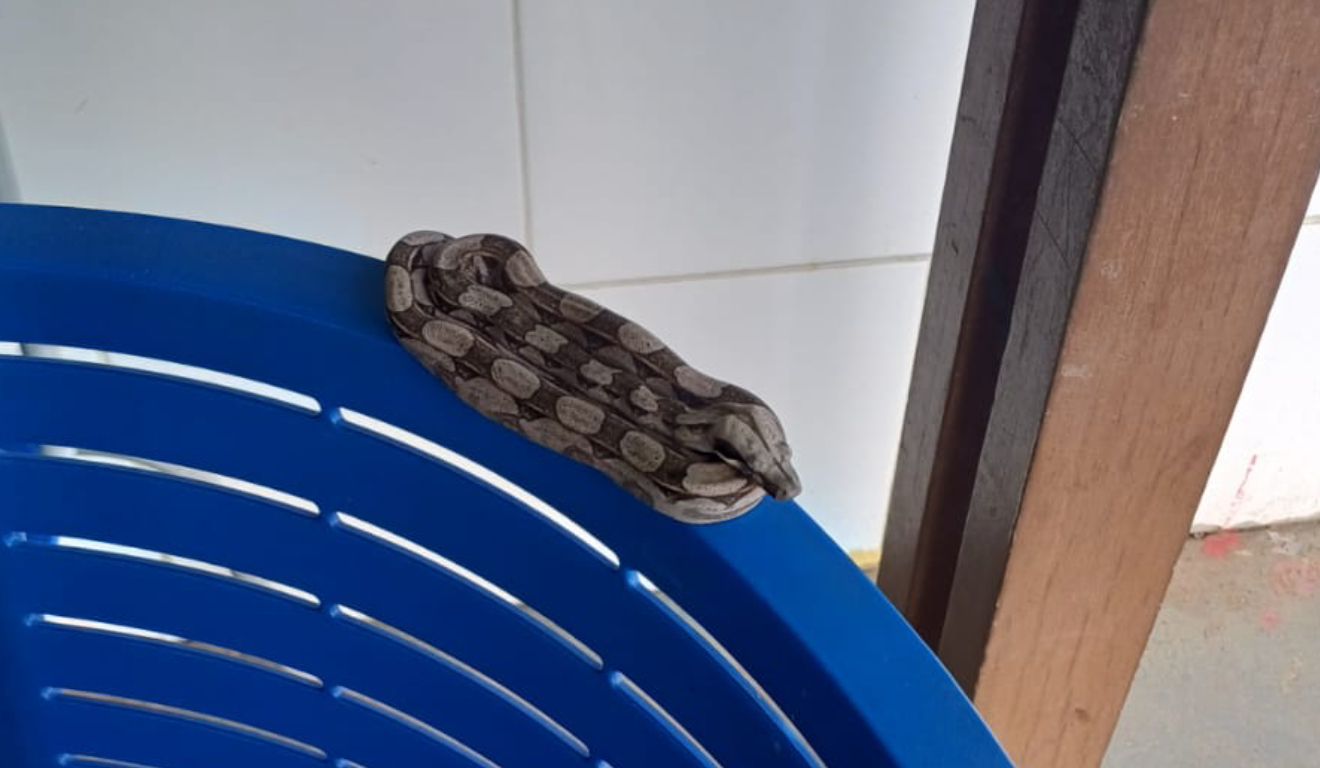 Foto: COPPA Foto: COPPA