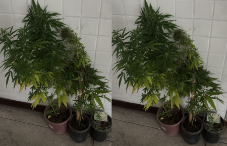 Foto: 12ºBPM Foto: 12ºBPM