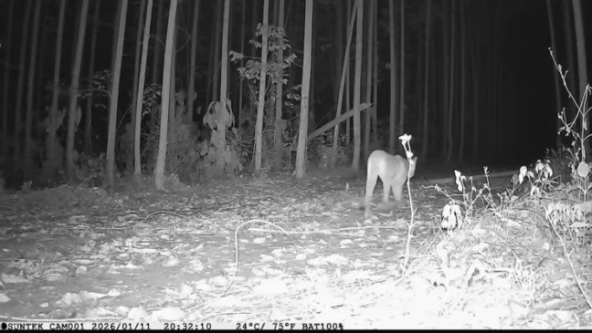 Imagem: Acervo Bracell