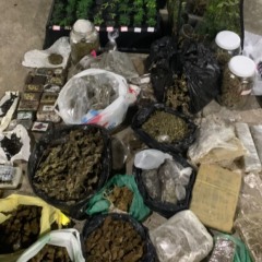 drogas em pitua&ccedil;u