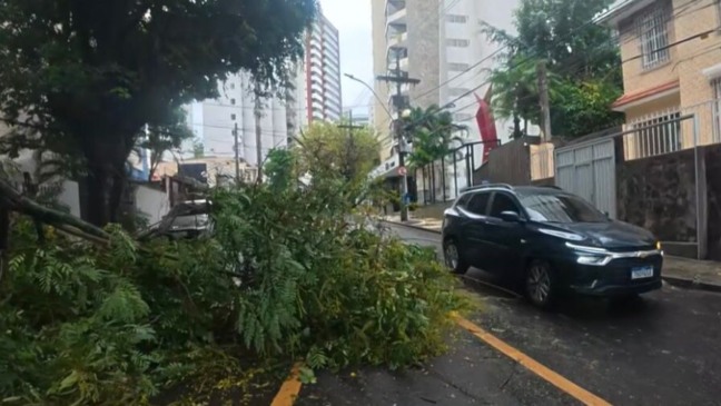 Foto: Reprodução/Rede Bahia