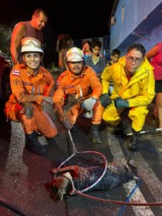 Foto: Divulga&ccedil;&atilde;o