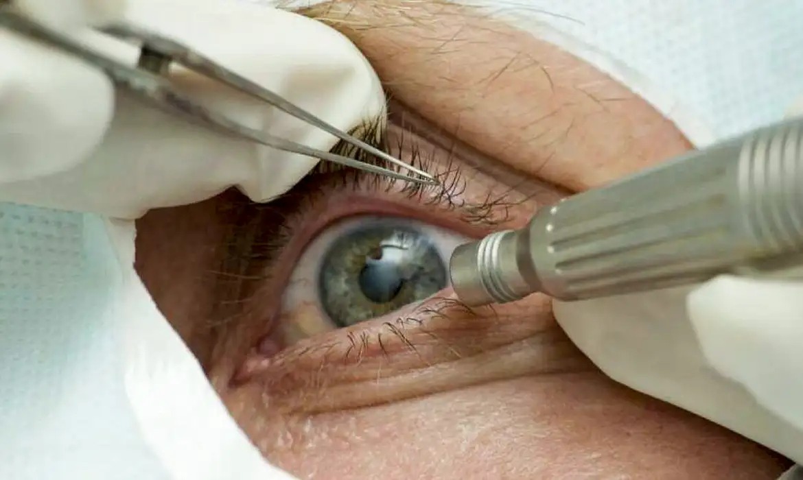 Foto: Divulgação Foto: Divulgação