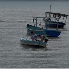 Foto: Vagner Souza / Ps Not&iacute;cias