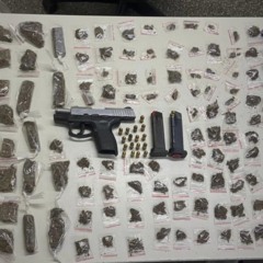 Apreensão em Águas Claras. Foto: Divulgação/22ºBPM