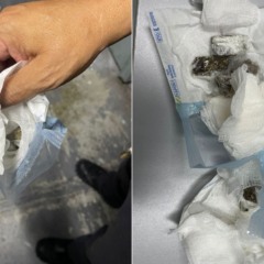 Foto: Divulga&ccedil;&atilde;o/Seap