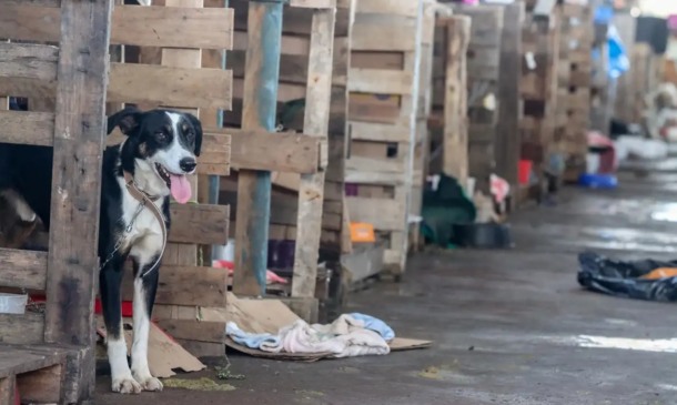 Foto: Rafa Neddermeyer/Agência Brasil