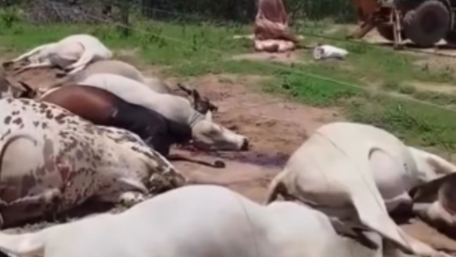 Foto: Reprodução/Redes Sociais 