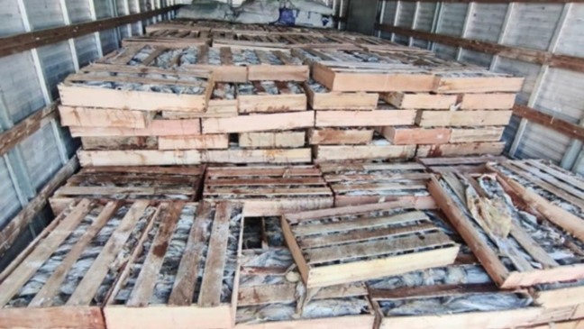 Foto: Reprodução/PRF