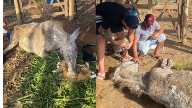 Foto: Reprodução/PRF