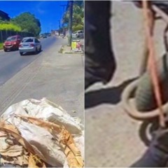 Imagem: Reprodu&ccedil;&atilde;o/ Redes sociais