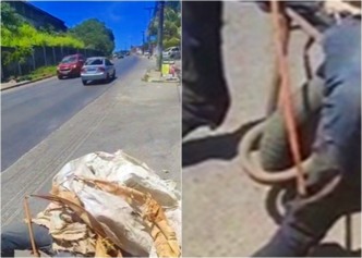 Imagem: Reprodução/ Redes sociais Imagem: Reprodução/ Redes sociais