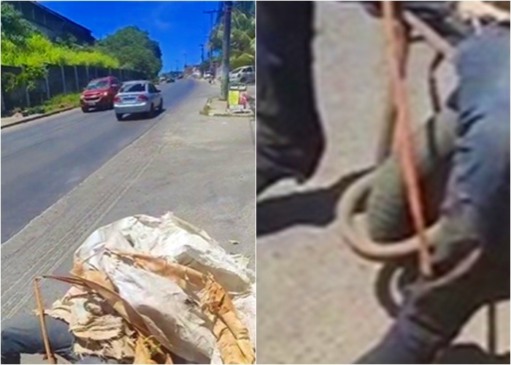 Imagem: Reprodução/ Redes sociais