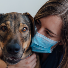 Foto: Reprodu&ccedil;&atilde;o / Blog Cobasi