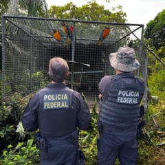 Foto: Divulgação / PF